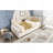 Upholstered Velvet Twin Size Daybed With Pull-Out Trundle, Sofa Bed For Adults And Kids, Space-Saving Metal Frame Design-1224819538
