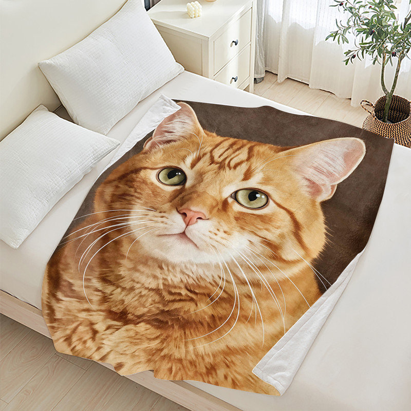 Jeté JYK, L 30 po x l 40 po, Chat Tabby orange