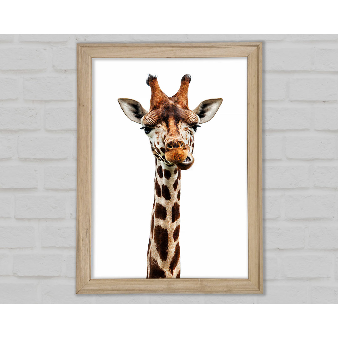 Goofy Giraffe Gerahmter Druck