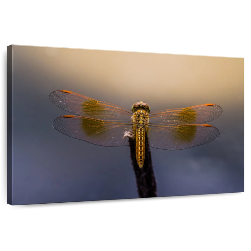 Crowle Dragonfly Glow, 8" H x 12" W