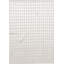 Area Rug in Gray
