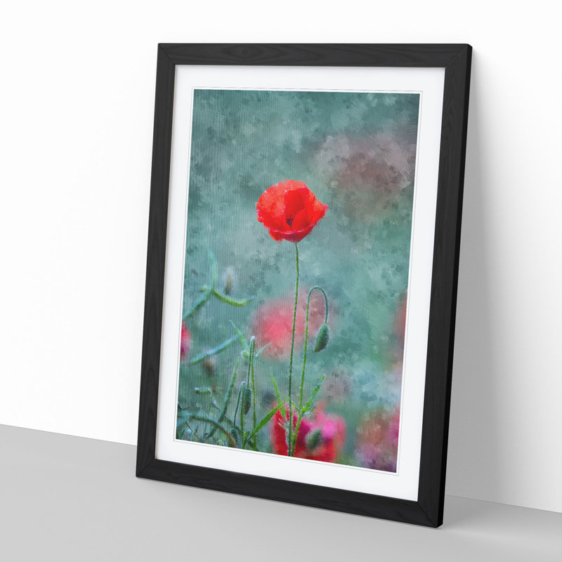 A Lone Poppy Flower - Picture Frame Graphic Art, Black Framed, 36cm H x 27cm W x 2cm D
