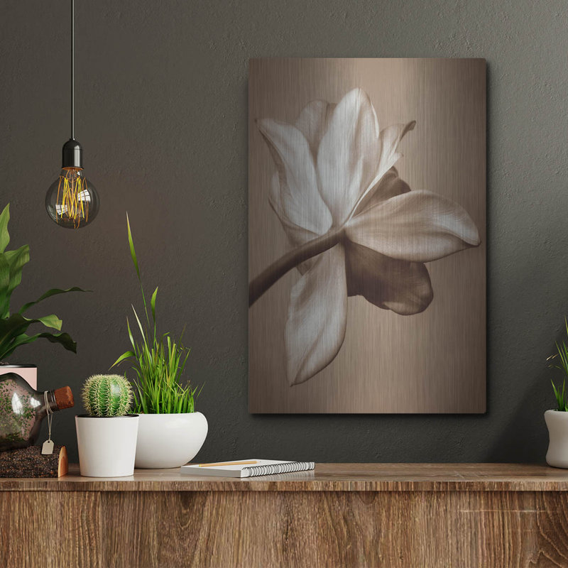 " Moonlight Tulip " by Rebecca Swanson