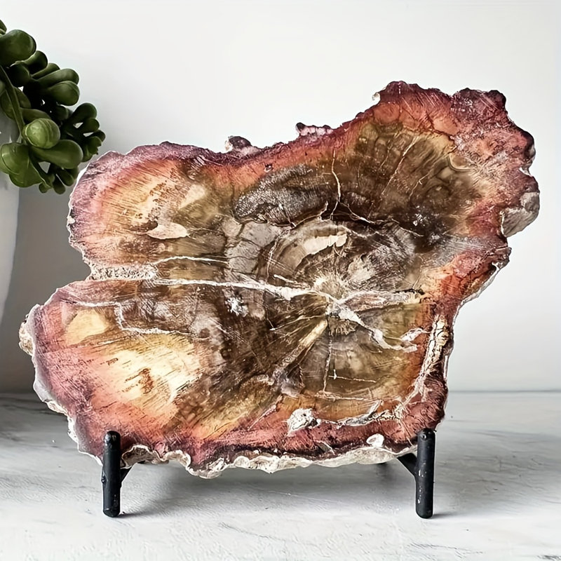 Celestine Druse