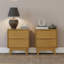 Jerred 2 - Drawer Solid Wood Nightstand-97425502-97425500