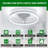 Ceiling Fan With Lights And Remote, 19" Fandelier Low Profile Ceiling Fan, 3000K-6000K Dimmable Modern Flush Mount LED Ceiling Fan Light For Bedroom-129161920