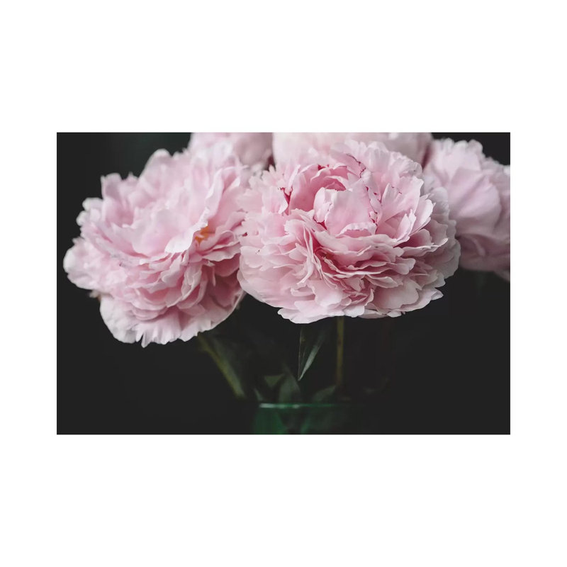 Pink Peonies by Chelsea Victoria - Wrapped Canvas Print, 20.32 cm H x 30.48 cm W