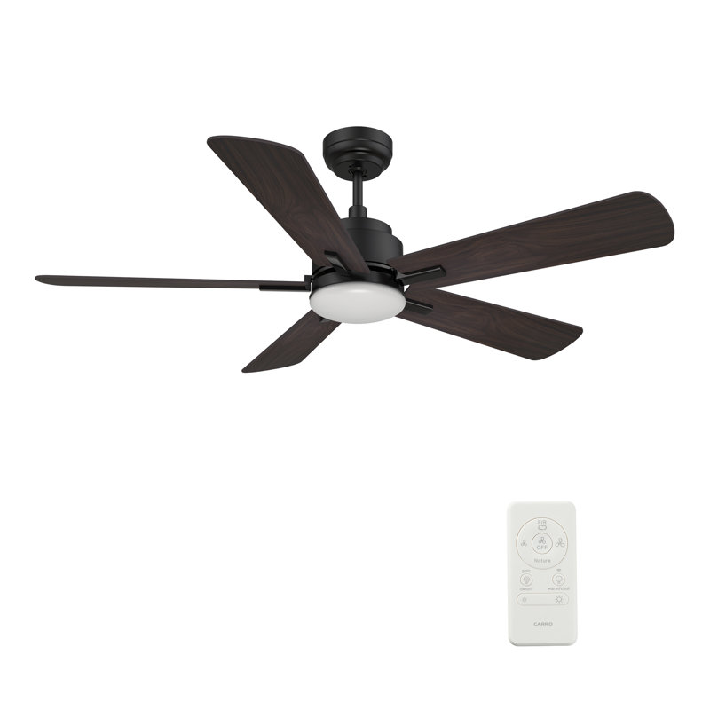 Ventilateur de plafond intelligent 52 po avec lumière, télécommande