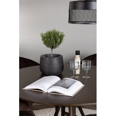 Darle 4 - Person Dining Set