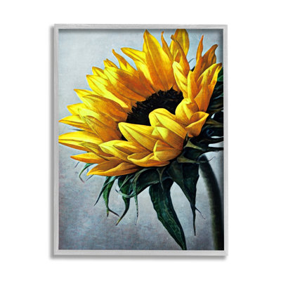 " Yellow Sunflower Blossom Close Up " by Ashley Aldridge