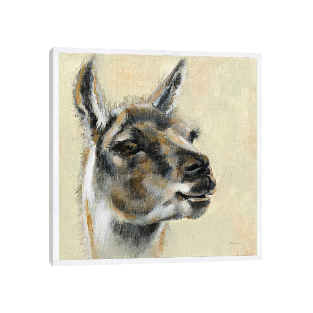 Llama Portrait by Silvia Vassileva - Gallery-Wrapped Canvas Giclée on Canvas