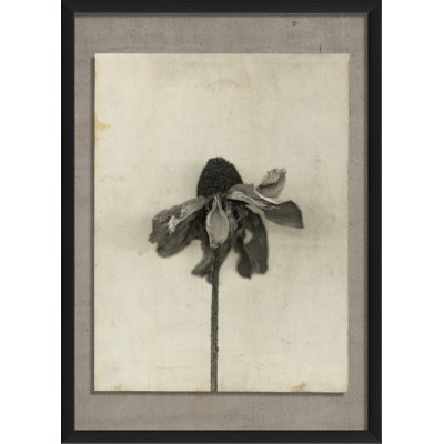 Fleur, reproduction de photo encadrée
