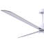 Ventilateur de plafond Alessandra-466741289-466741258-415991771
