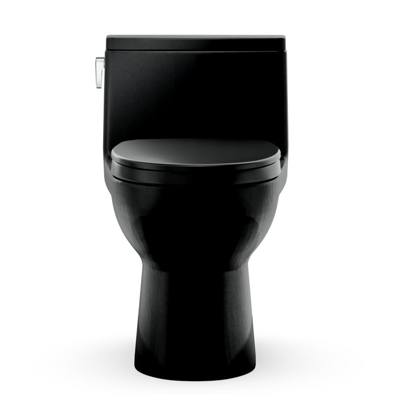 TOTO Redington 1G One-Piece Elongated 1.0 GPF WASHLET+ and Auto Flush Ready Universal Height Toilet with SS124 SoftClose Seat, Ebony - MS672124CUF#51