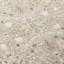 Power Loom Polyester Oriental Area Rug in Taupe/Ivory-1747719249-1763575711