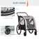Alvonia Folding Jogger Stroller with Detachable Carrier