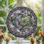 Vitrail Moth Moon ， 12 po-494782659