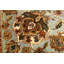 Oriental Area Rug in Cream/Light Blue