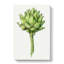 An Artichoke - Wrapped Canvas-55368934