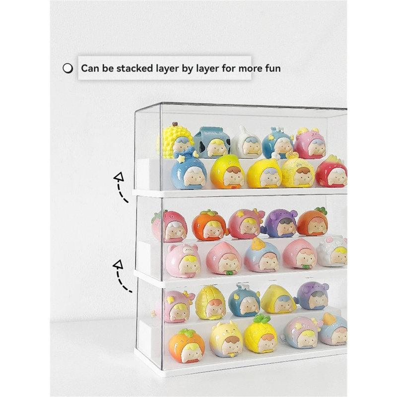 Acrylic Display Box