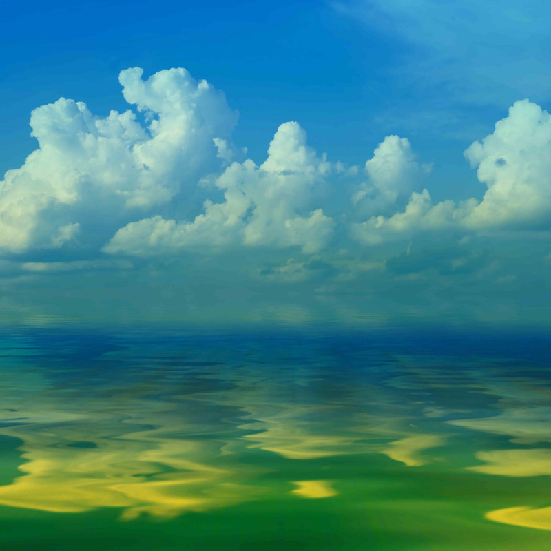 Parvez Taj - Wrapped Canvas Print, 122cm H x 122cm W