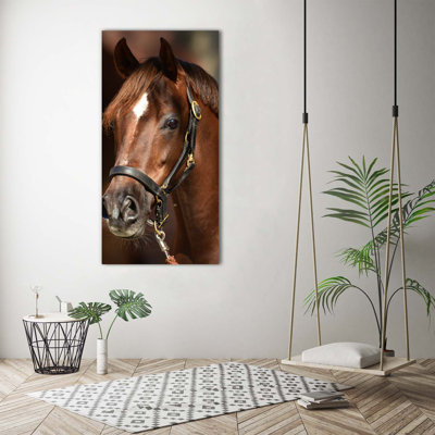 Portrait Of A Horse - Wrapped Canvas Print
