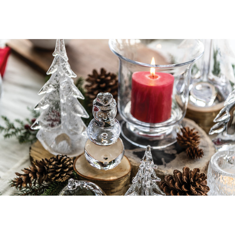 Silver Leaf Evergreen, 8 inch