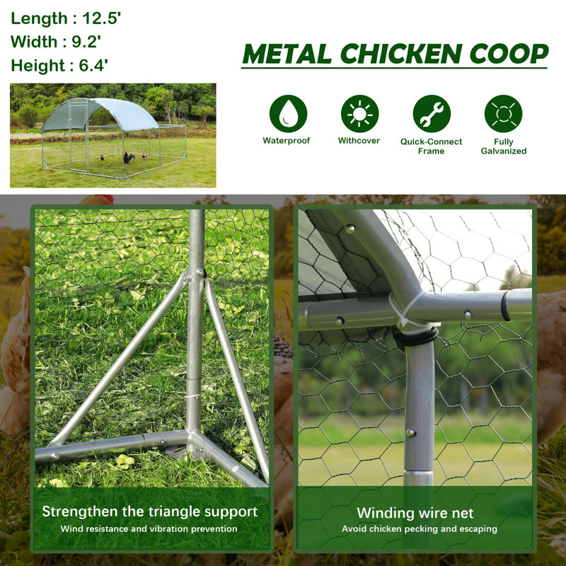 «Cristos Walk in Chicken Run» avec grillage métallique, H 78 po x l 110 po x P 150 po