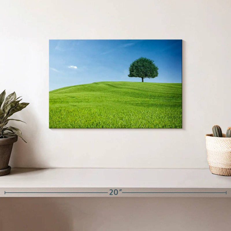 Colline et arbre toscan Alvord, H 8 po x l 12 po