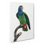 Blue-headed Parrot by F. Levaillant - Wrapped Canvas-55362090