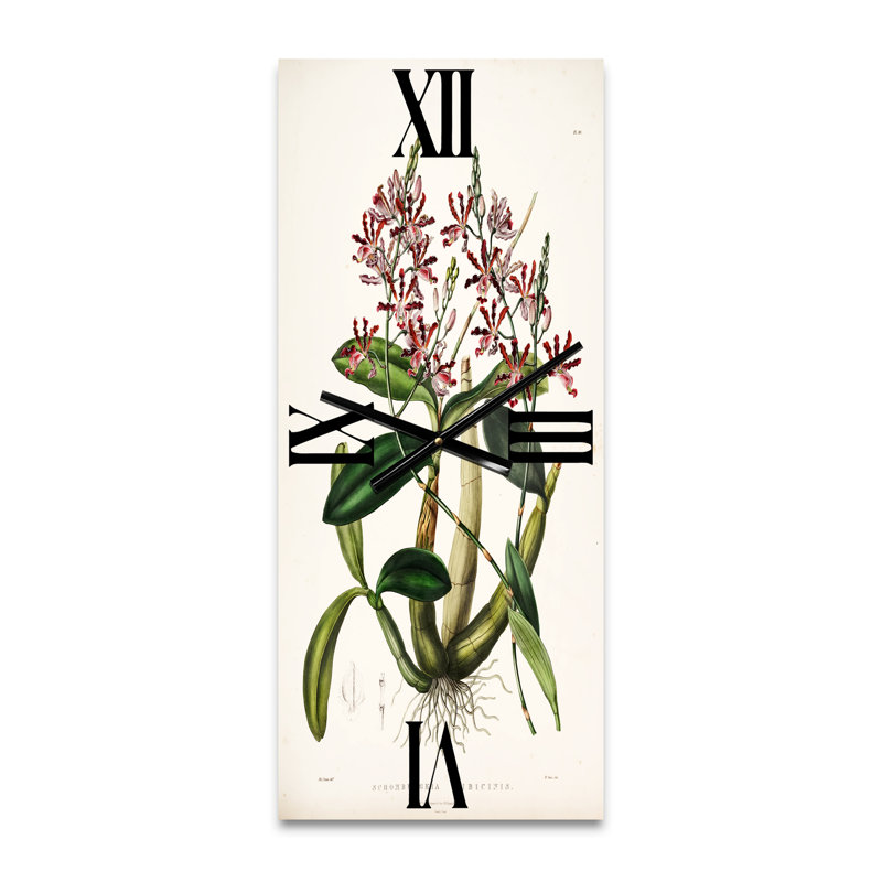 Horloge murale Plant Life VII, Petit