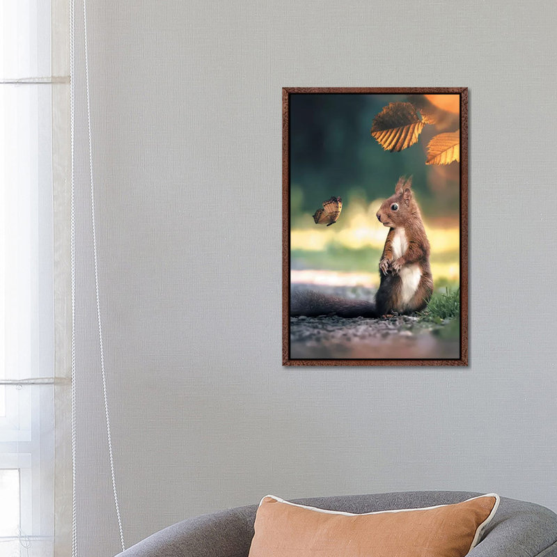 Squirrel Butterfly by Zenja Gammer - Print on Canvas, 66.04 cm H x 45.72 cm W, Classic Brown Wood Framed