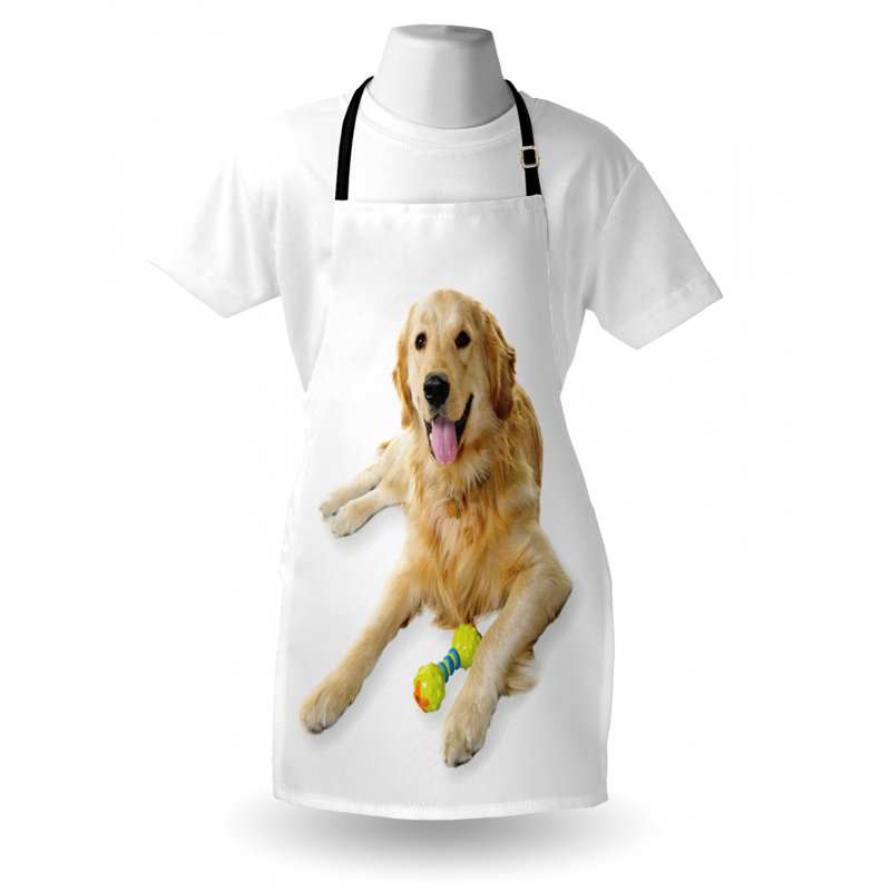 Tablier de golden retriever