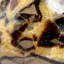 Polished Septarian Freeform From Madagascar (3 lbs)