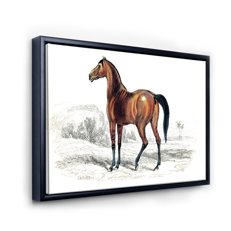 Cheval rétro - peinture sur toile, H 24 po x l 32 po x P 1 po, Cadre flottant noir