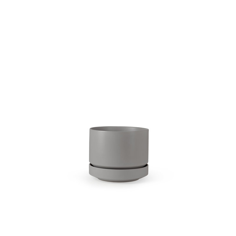 Pot à fleurs en céramique Byer, Gris, H 4,25 po x l 5 po x P 5 po
