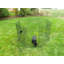 Stylos d'exercice Lucky Dog-11941706