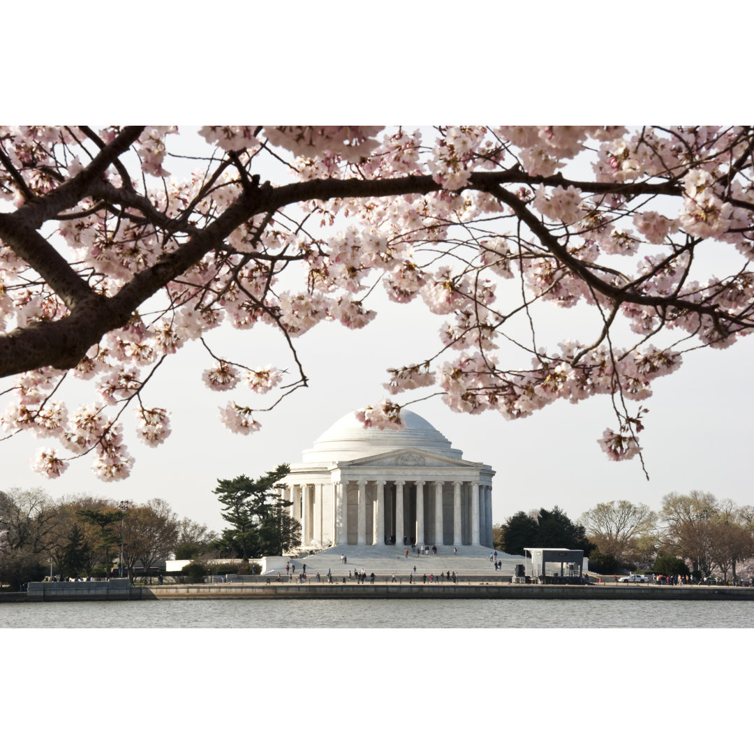 Closeup Of Cherry Blossoms von RobertDodge - Kunstdrucke auf Leinwand