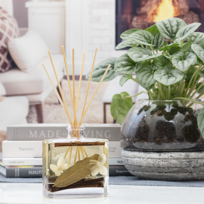 Plant / Floral Reed Diffusers And Sticks