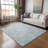 Machine Washable Indoor/Outdoor Lafferty ACN2227 Panel Rug-298979676