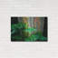 «Tropical Leaves» par Dennis Frates-101450448