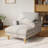 Upholstered Chaise Lounge With Adjustable Backrest