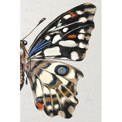 Stained Glass Butterfly Wing Study II by Melissa Wang - Wrapped Canvas Print