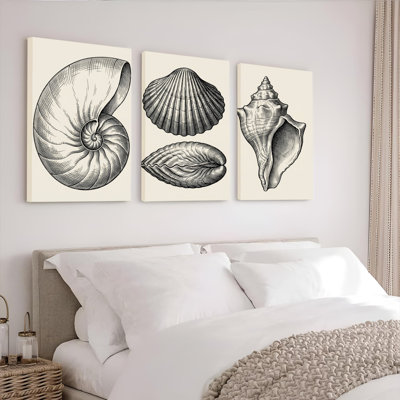 Seashell croquis sur toile tendue, ensemble de 3 reproductions d'art sur toile