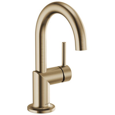 Odin® Single Hole Bathroom Faucet