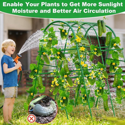 Arche de jardin en métal robuste – Support vert antirouille pour plates-bandes surélevées, légumes grimpants, concombres, melons, vignes – Installation facile
