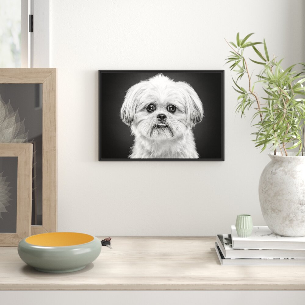 Gerahmtes Wandbild lustiger kleiner Hund Kunst B&W