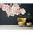 Plants & Flowers Non-Wall Damaging Wall Decal