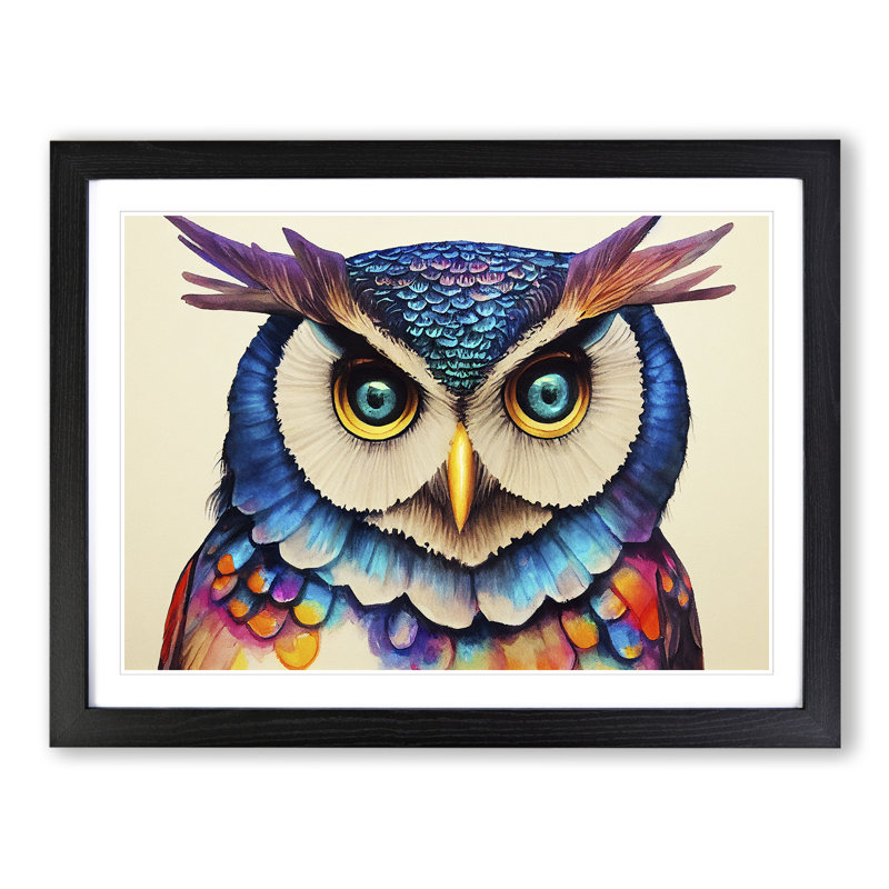 Colourful Long Eared Owl - Print, Black Framed, 46cm H x 64cm W x 2cm D