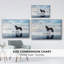 «Horse Motion VI», peinture sur toile encadrée-94357224-94357229